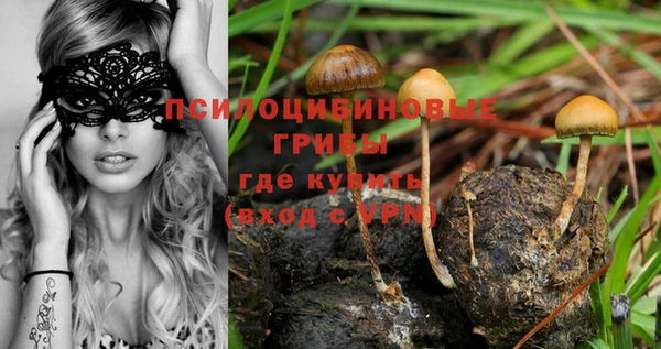 каннабис Михайловск