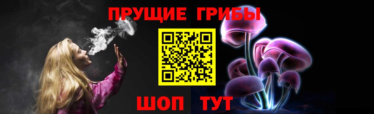 Галлюциногенные грибы Cubensis Углич