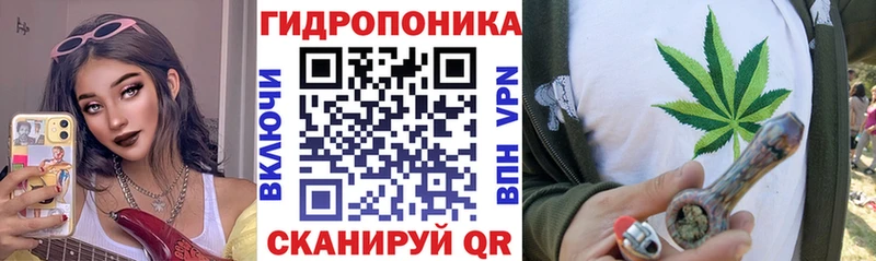 МАРИХУАНА Amnesia  Углич 